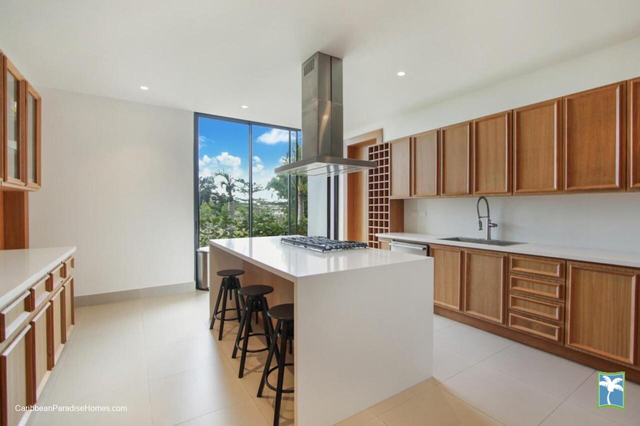 Dye_Fore_1_Casa_de_Campo_Caribbean_Paradise_Homes_11-scaled
